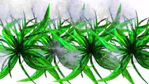 タンポポの種子植物の3Dレンダリング — ストック動画