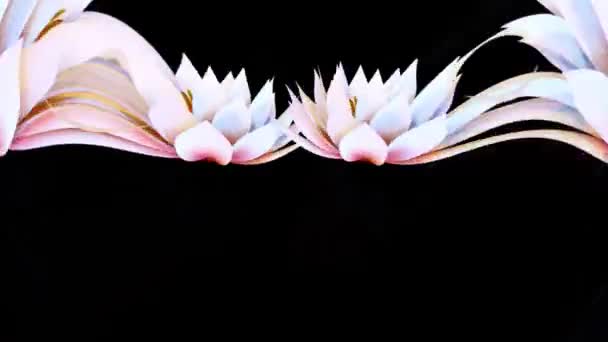睡蓮の植物の花の3Dレンダリング — ストック動画