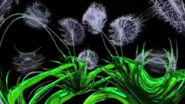 Dandelion Seeds Botanical Rendering — 비디오