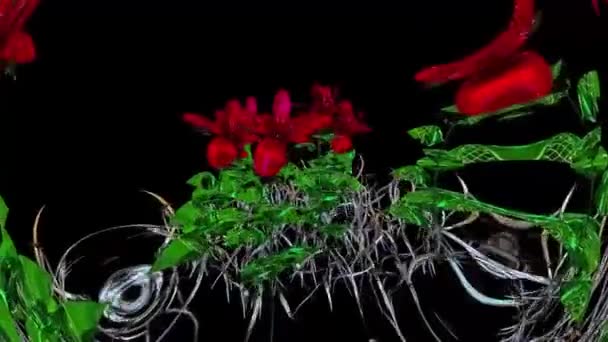 Wide Leaf Botanical Rendering — Stockvideo