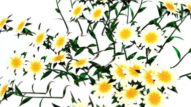 Beyaz Çiçek Botanik 3B Hazırlama