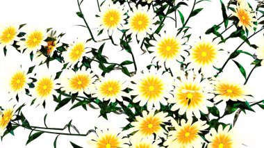 Beyaz Çiçek Botanik 3B Hazırlama