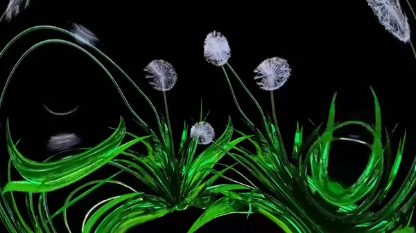 Dandelion Seeds Rendering Botanico — Foto Stock