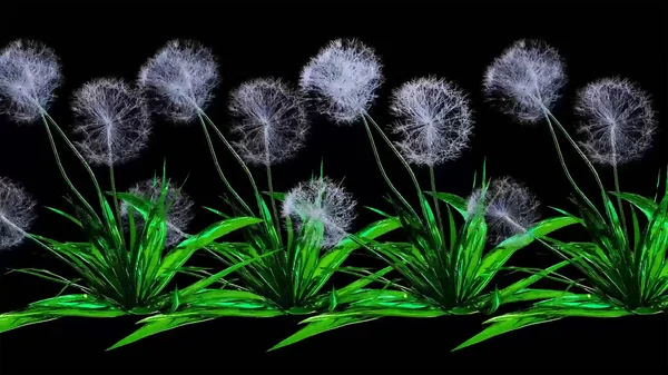 Dandelion Seeds Botanical Rendering — стокове фото