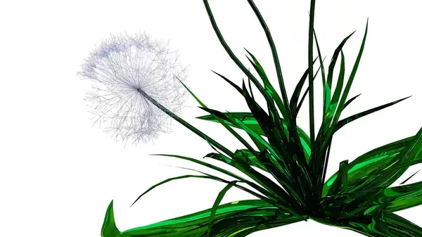 蒲公英种子植物3D渲染 — 图库照片