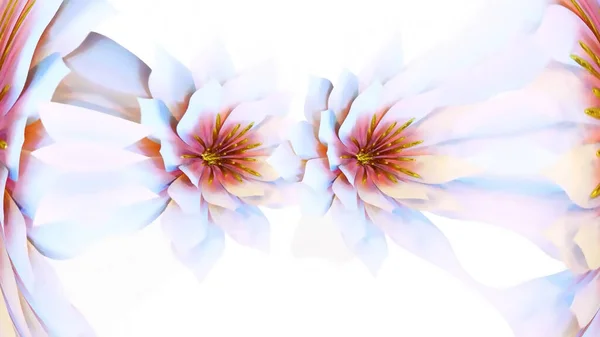 Waterlily Flor Botânica Renderização — Fotografia de Stock