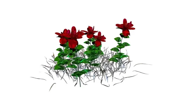 宽叶植物3D渲染 — 图库照片
