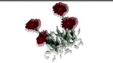 Aster Botanik Çiçekleri 3B Hazırlama