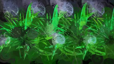 Karahindiba Tohumları Botanik 3B Hazırlama