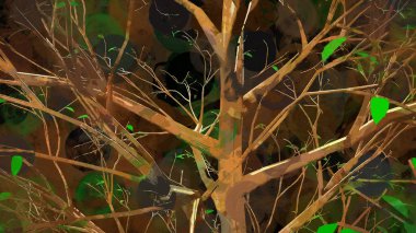 Dağ Akçaağaç Botanik Dijital Hazırlama