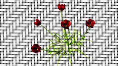 Botanik Şebeke Sanatı Coquelicot Dijital Hazırlama