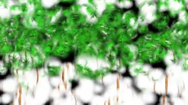 杨树植物3D渲染 — 图库视频影像