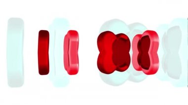 Vibrant Hearts Background 3D Rendering