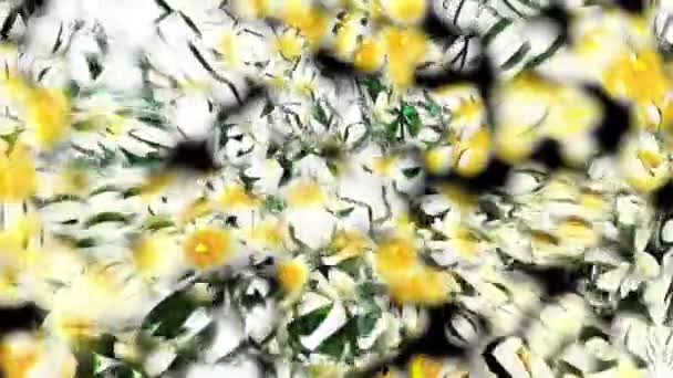 Botanische Bubbly Abstracte Achtergrond Digitale Rendering — Stockvideo