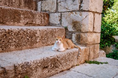 Nafplion 'un güzel dekore edilmiş sokaklarında geleneksel mimari binalar var. Nafplio şüphesiz Argolis, Moreloponnese, Yunanistan 'daki en huzurlu yerlerden biridir.