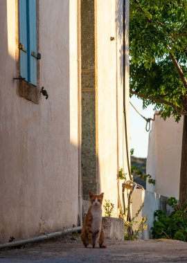 Yunanistan 'ın Kythira adasındaki Chora köyünün sokaklarında yürüyen insanların olduğu mimari binalar. Kythera adasındaki pitoresk Chora köyünün şehir fotoğrafçılığı.