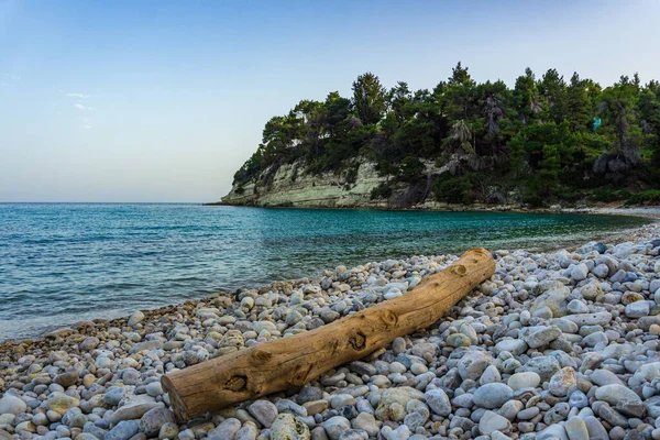 Panoramiczny Widok Plażę Chrysi Milia Wyspie Alonnisos Grecja Europa — Zdjęcie stockowe