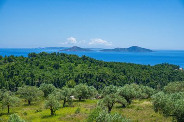Megali Ammos yolundaki güzel doğal manzara veya batı Alonissos adasındaki büyük kumsal, Yunanistan, Avrupa