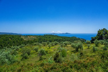 Megali Ammos yolundaki güzel doğal manzara veya batı Alonissos adasındaki büyük kumsal, Yunanistan, Avrupa