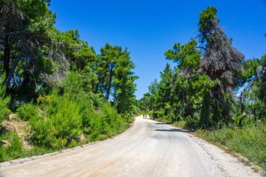 Megali Ammos yolundaki güzel doğal manzara veya batı Alonissos adasındaki büyük kumsal, Yunanistan, Avrupa