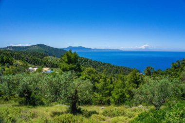 Megali Ammos yolundaki güzel doğal manzara veya batı Alonissos adasındaki büyük kumsal, Yunanistan, Avrupa