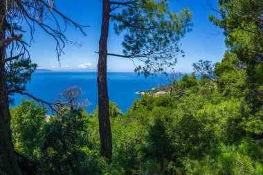 Beautiful natural scenery on the road to Megali Ammos or large sand beach in western Alonissos island, Greece, Europe