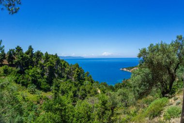 Megali Ammos yolundaki güzel doğal manzara veya batı Alonissos adasındaki büyük kumsal, Yunanistan, Avrupa
