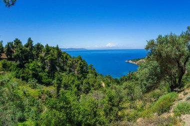 Megali Ammos yolundaki güzel doğal manzara veya batı Alonissos adasındaki büyük kumsal, Yunanistan, Avrupa