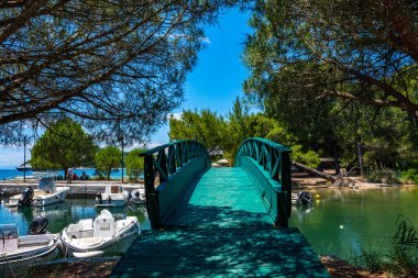Skiathos Adası, Sporades, Yunanistan 'daki Koukounaries plajı yakınlarındaki doğal manzara