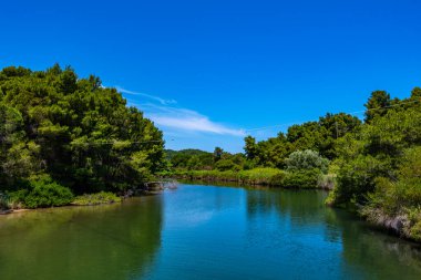 Skiathos Adası, Sporades, Yunanistan 'daki Koukounaries plajı yakınlarındaki doğal manzara