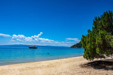 Skiathos Adası, Sporades, Yunanistan 'daki Koukounaries plajından yaz manzarası