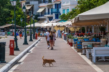 Yunanistan 'ın Sporades kentindeki Skiathos adasının limanından güzel yaz manzarası