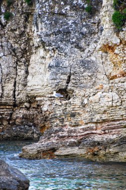 Alonissos, Sporades, Yunanistan 'da kayıkla açılırken görülen doğu Alonissos adası çevresindeki Rocky manzarası