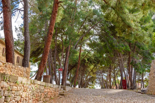 View Castle Pylos One Best Preserved Castles Greece New Navarino — Stock fotografie