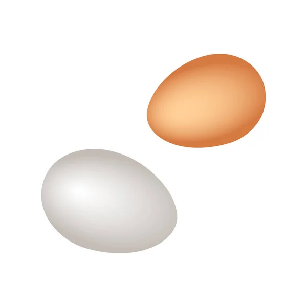 White Golden Brown Realistic Vector Chicken Eggs Isolated White Background — Stock Vector