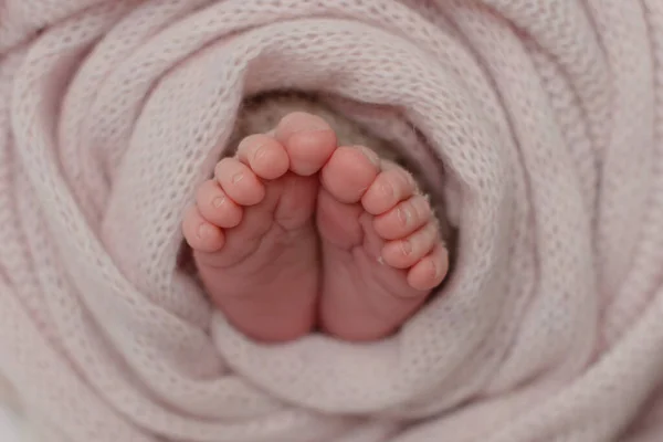 Small Beautiful Legs Newborn Baby First Days Life Baby Feet — Stock Photo, Image