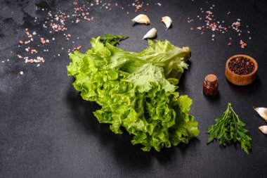 Organik, sağlıklı, yeşil marul bitkilerine yakın. Yerel sebze ekme çiftliği. Taze yeşil kıvırcık buzdağı salatası yaprakları