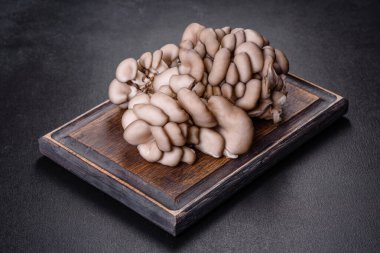 Tasarım ve dekorasyon için mantar desenli arka plan. Yenilebilir istiridye mantarları.