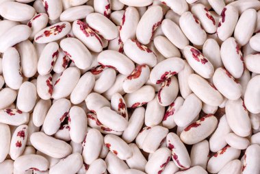 Koyu beton arka planda beyaz kuru fasulye. Sağlıklı Yemek Pişirme