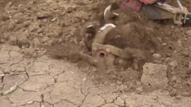 Küçük çiftlik traktörü toprağı sürüyor, bir traktörün işi.