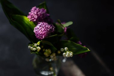 Koyu arkaplanda güzel leylak çiçekleri dalları, doğal bahar arkaplanı, yumuşak seçici odak