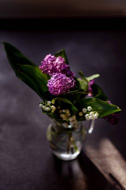 Koyu arkaplanda güzel leylak çiçekleri dalları, doğal bahar arkaplanı, yumuşak seçici odak