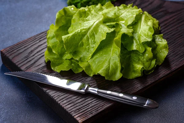 Salad Parsley Dill Dark Cutting Board Blue Concrete Background Cooking — ストック写真