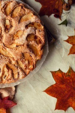 Beyaz arka planda ev yapımı elmalı turta, üst manzara, kopyalama alanı. Klasik sonbahar Şükran Günü tatlısı.