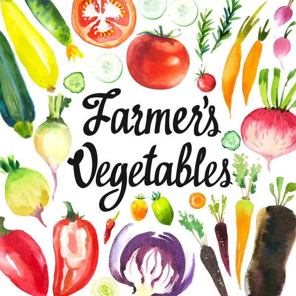 Akvarel ilustrace s kulatým složením zemědělských produktů. Sada zeleniny: artyčoky, cibule, šalotka, pórek, paprika, zelí, mrkev, okurka, cuketa, vodnice, ředkvička. Čerstvé organické potraviny. — Stock fotografie