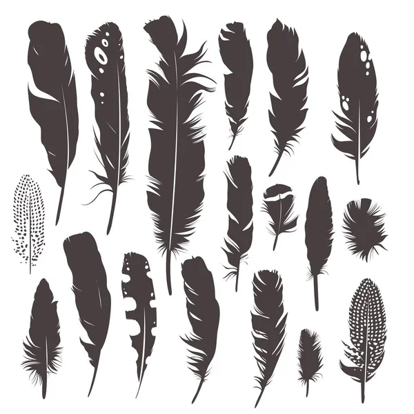 Ensemble vectoriel avec plumes. Design naturel. Le style Boho. Des silhouettes simples. Noir et blanc. — Image vectorielle