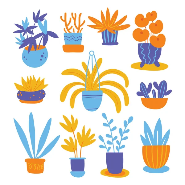 Vector flat set met planten. Loof kamerplanten, exotische flora. Cartoon llustratie. Hobby. Binnenplanten kweken. Plantaardige producten. — Stockvector
