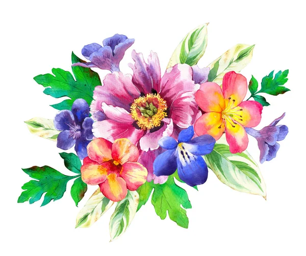 Composition Peonies Blue Red Tropical Flowers Watercolor Bouquet Botanical Illustrations — Stock Photo, Image