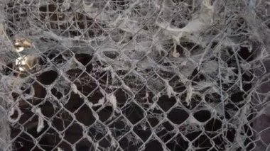 Terk edilmiş bir evin, korkunç örümcek ağı ve bir sürü örümceğin olduğu bir pencerenin görüntüleri. Cadılar Bayramı için korkunç görüntüler.