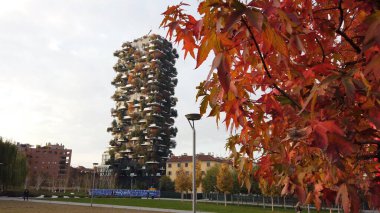 Avrupa, İtalya, Milano Kasım 2021 - Porta Nuova 'da sonbahar - Parco Biblioteca degli alberi' deki ağaçlarda kırmızı yapraklar